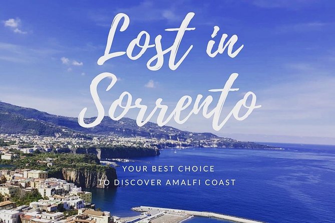 Private Transfer From Sorrento to Naples With Stop in Pompeii (2hours) - Additional Information