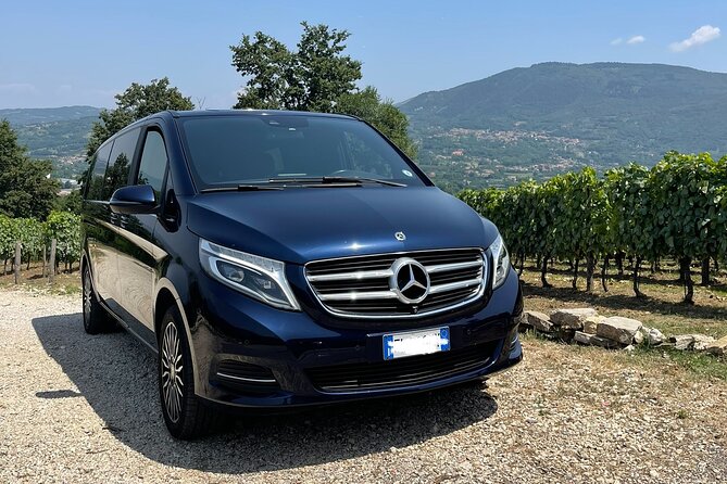 Private Transfer From SORRENTO to ROME Apt Train Station City - Service Details