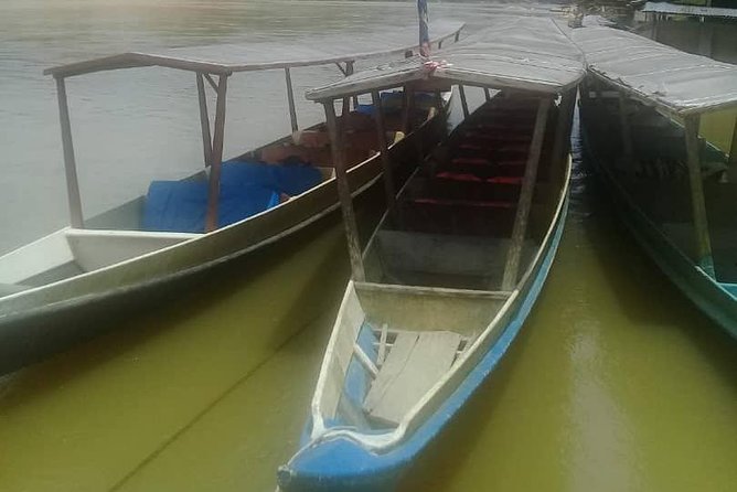Private Transfer to Taman Negara From Kuala Lumpur
