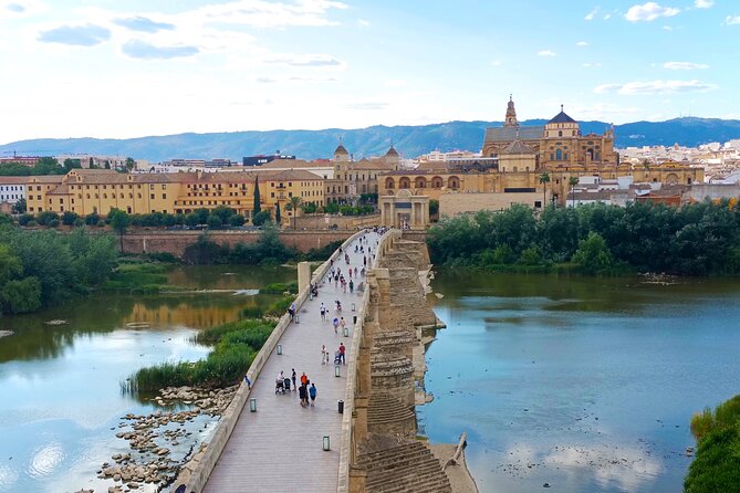 Private Trip to Cordoba From Costa Del Sol - Inclusions and Exclusions