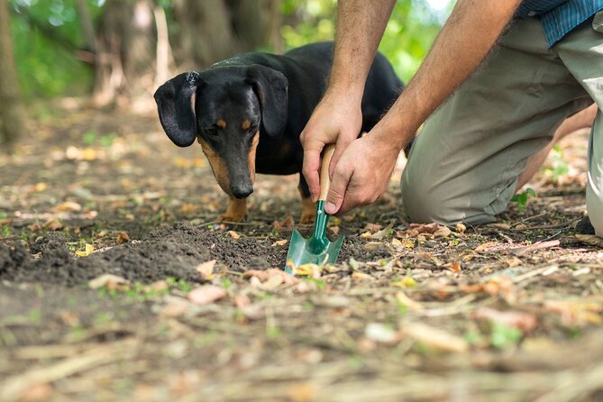 Private Truffles Hunting With Lunch From Florence - Tour Highlights