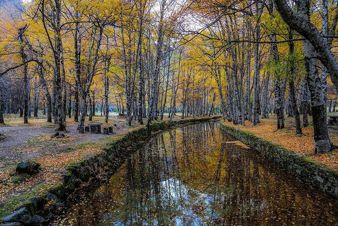 Private Van Tour Serra Da Estrela - Lunch Included