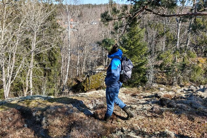 Private Viking Tour by a Lake + Swedish Nature Forest Walk, 90min - Tour Details