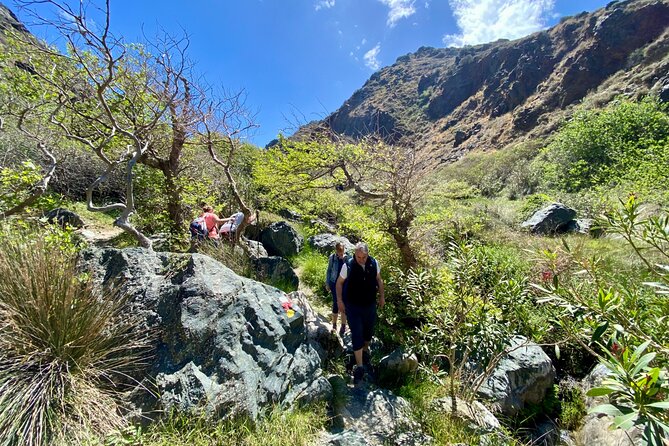Private Waterfall Hiking in Richtis Gorge - Inclusions: Private Transportation, Snacks, Water