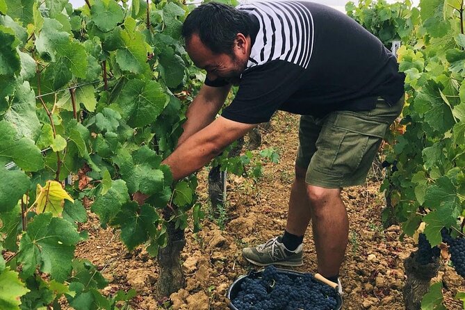 Private Wine Tasting Tour In Lisbon Wine Region - Tour Location and Inclusions