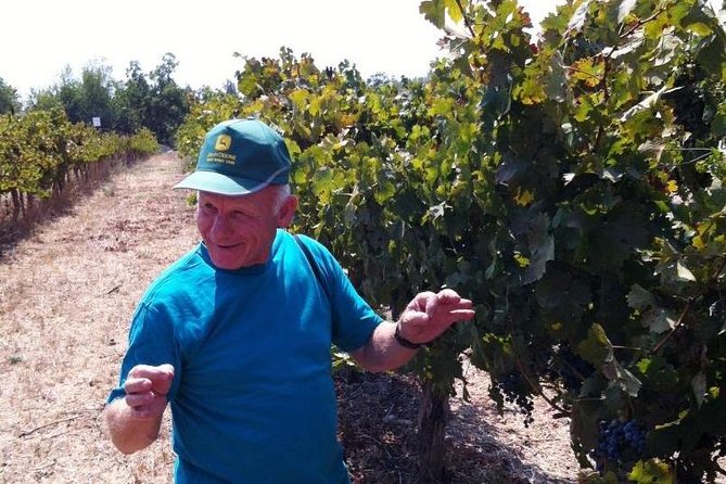 Private Wine Tour of Northern Israel - Itinerary