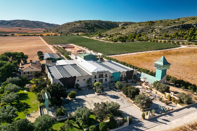 Private Wine Tour to the Costa Blanca Wineries - Inclusions