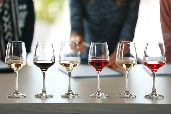 Professional 6 Wines Tasting With Regional Appetizers in a Local'S Home - Venice - Inclusions