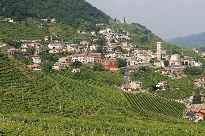 Prosecco Region Cellar Visit, Wine Tasting, Palladian Villa, Medieval Village - Inclusions