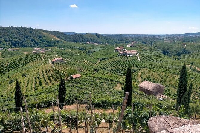 Prosecco Tasting and Lunch on the Hills. Private Tour From Venice - Itinerary Details