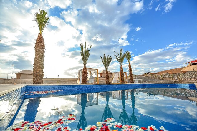 Quad and Camel Ride in the Agafay Desert With Swimming Pool - Activity Overview