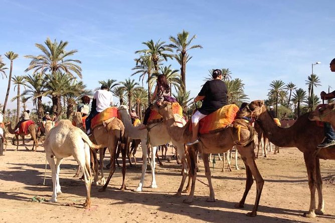 Quad Bike and Camel Ride Full-Day Tour From Marrakech - Pickup and Logistics Details