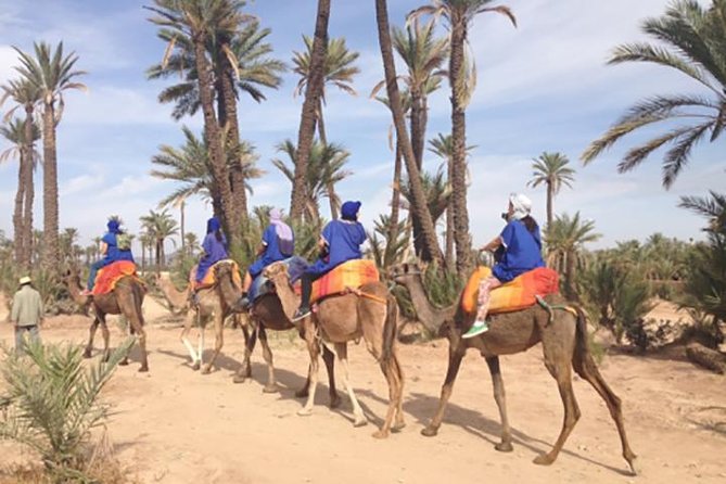Quad Bike and Camel Ride in the Palm Grove - What To Expect