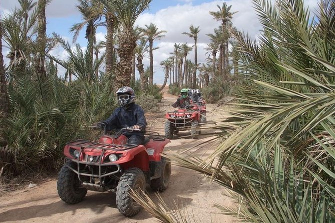 Quad Bike, Camel Ride, Lunch & Hammam Tour - Tour Highlights