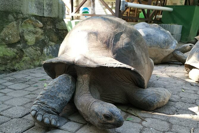 2 Best Safari Tours In Mahe