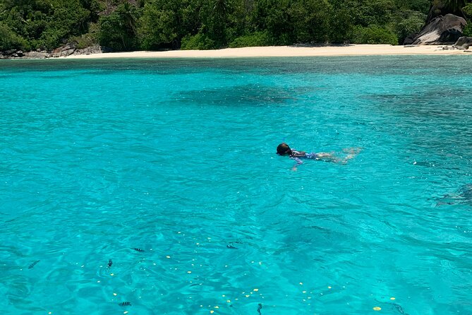 Reef Safari - Snorkeling, Fish Feeding & Lunch (Shared Day Trip) - Booking and Logistics