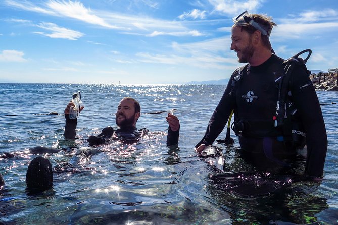 Refresh Dive for Certified Divers - Dive Excursion Overview