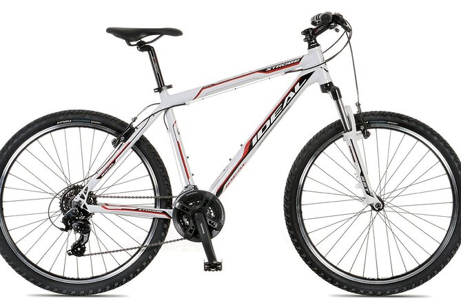 Rent a Bike in Ammoudara, Heraklion - Optional Private Transfer