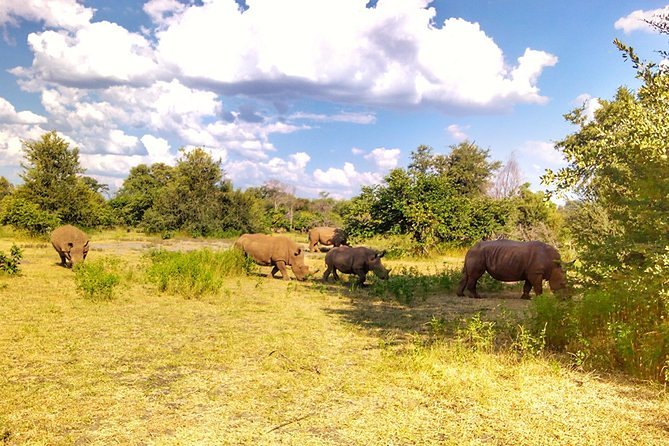 Rhino Walking Safari at Mosi-oa-Tunya National Park - Whats Included