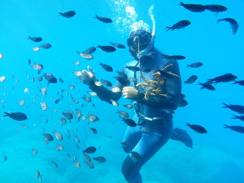 Rhodes Town: Yellow Submarine Cruise With Underwater Views