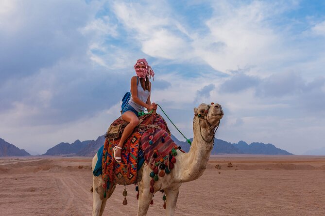 Riding a Camel West of Luxor - Luxor: A Camel Ride Adventure