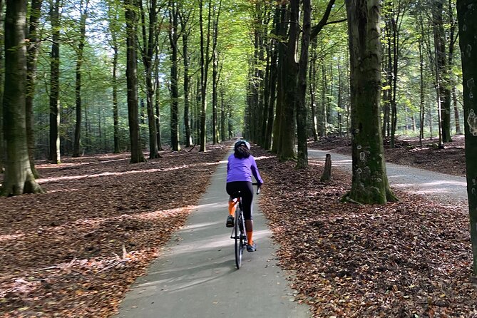 Road Bike Rental in Amsterdam With Suggested Itinerary - Meeting and Pickup Details