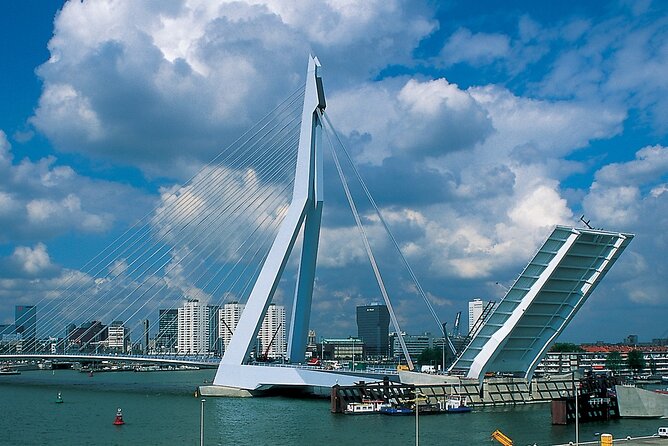 Rotterdam & Delft Private Offshore Daily Walking Tour - Tour Overview