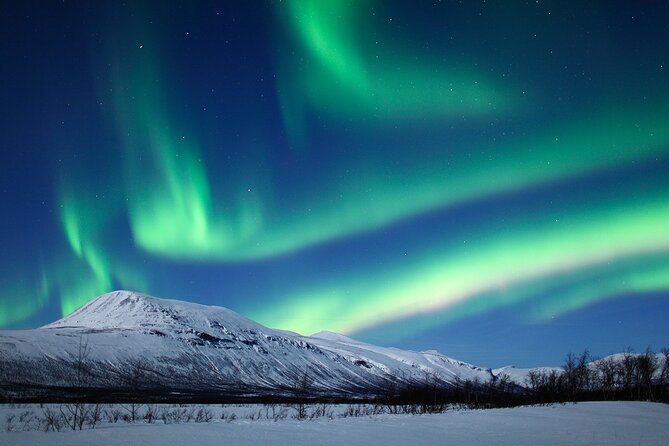 Rovaniemi Aurora Hunting Tour