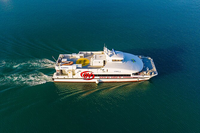 Rovinj to Venice Day Trip by High-Speed Catamaran - Additional Information and Accessibility
