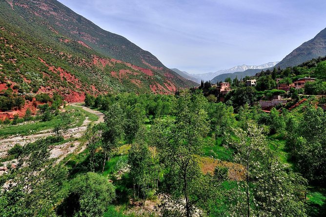 Royal Tour Marrakech, Desert, North, Atlantic - Breakfast and Dinner Included