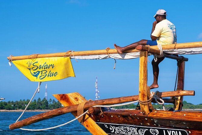 Safari Blue Private Full-Day Tour - Customer Reviews
