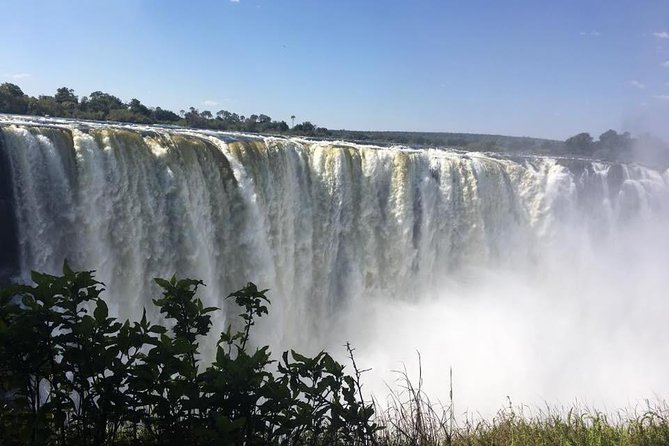 Safari Game Drive in Zambezi National Park