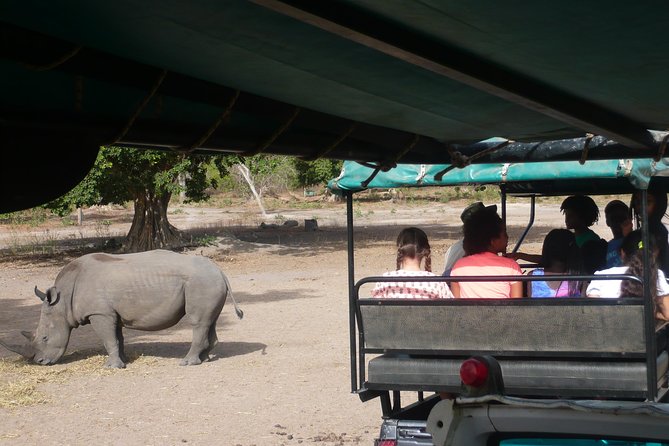 2 Best Safari Tours In Banjul