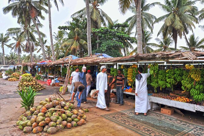 Salalah City Tour: Discover Salalahs Treasures With a Local Guide - Tour Highlights and Inclusions