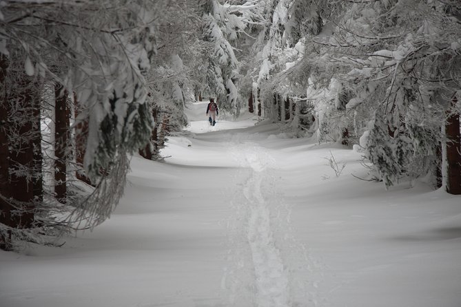 Samobor and NP Zumberak Private Winter Hike From Zagreb - Tour Description