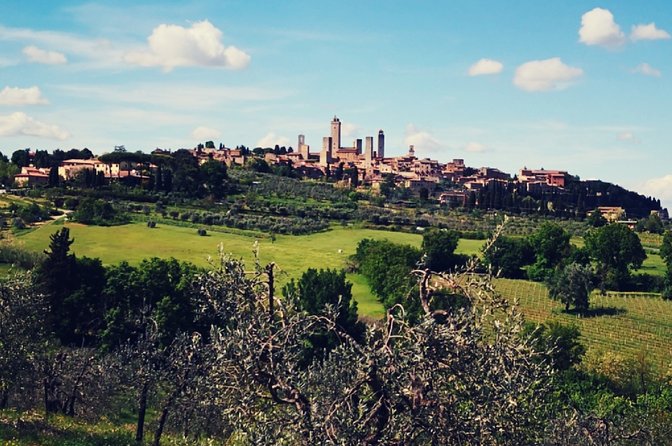 San Gimignano and Wine Experience All Inclusive Lunch and Wine Tasting - Amenities Included