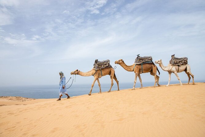 Sand Dunes With Camel Ride From Agadir and Taghazout