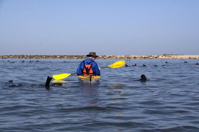 Sandwich Harbour & Pelican Point Full Day Tour - Tour Features