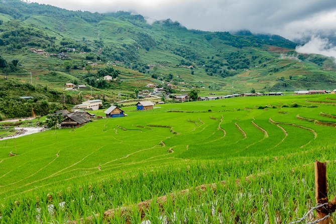 Sapa, Muong Hoa Valley - 1 Day Hiking & Cultural Experience - Tour Details
