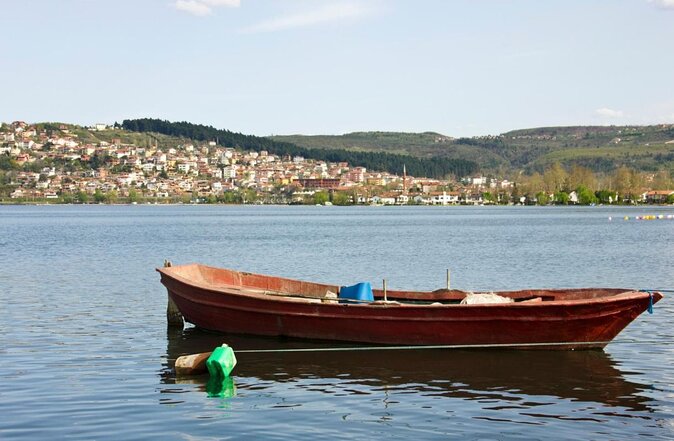 Sapanca Masukiye Zoo Private Tour From Istanbul VIP Minivan Best Quality - Transportation Details