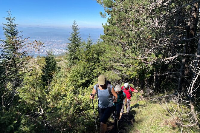 Sarajevo: Half Day Hiking Tour to Trebević Mt With Local Guide - Tour Details