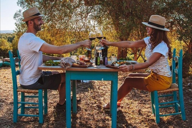 Sardinian Olive Oil Tasting & Picnic Among the Olive Trees