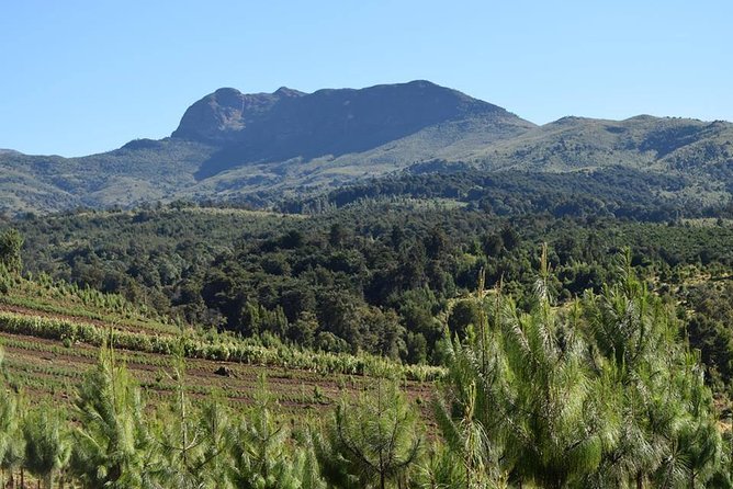 Scenic Day Trip to Aberdares National Park - Location and Meeting Points