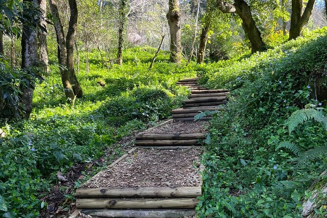 Scenic Hiking Tour in Sintra - Meeting Point Details