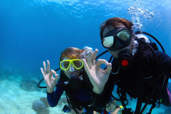 Scuba Diving Experience in Antalya With Lunch and Transfer