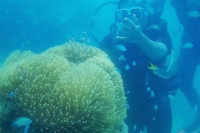 3 Best Scuba Diving Experiences In Havelock Island