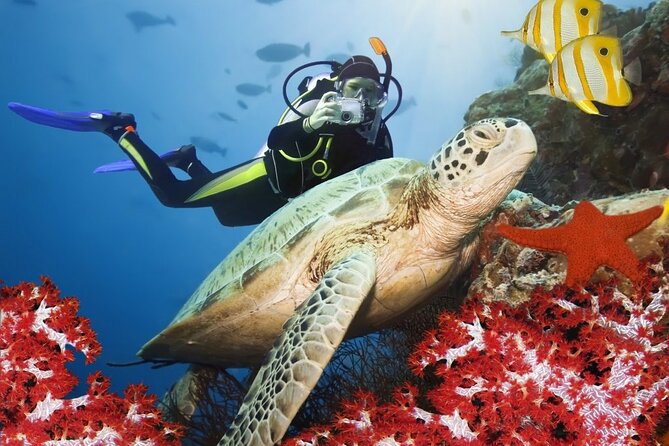 Scuba Diving Tour With Lunch & Roundtrip Transfer From Belek - Inclusions and Exclusions