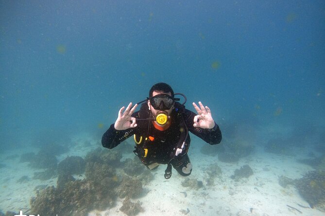 Scuba Diving Trips to Dimaniyat Islands - Trip Location and Details