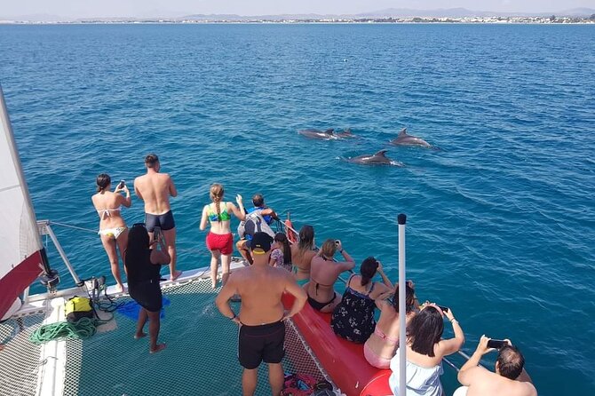Sea Trip on Catamaran in Hammamet With Transfer - Trip Details