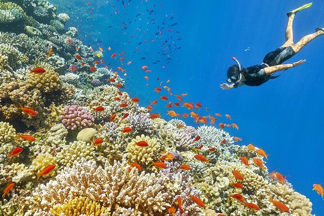 Seascope Submarine Hurghada - Location and Amenities